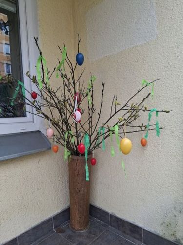 20260320_102856.jpg