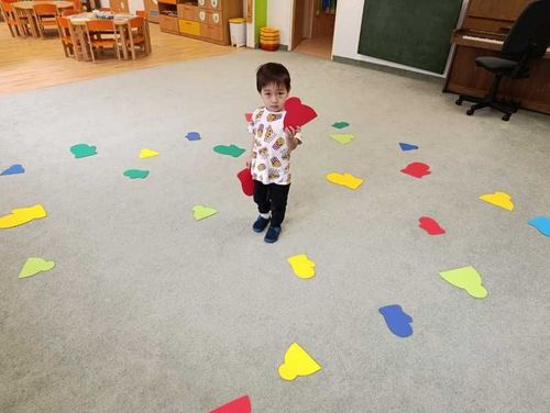 IMG-20260213-WA0015.jpg