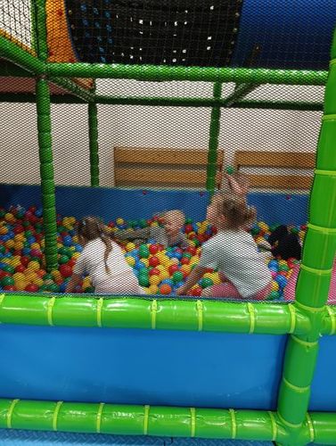 IMG_20260610_093409.jpg