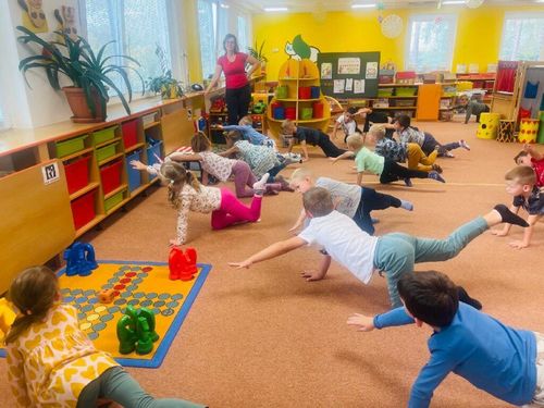 kočičky, rovna pater.jpg